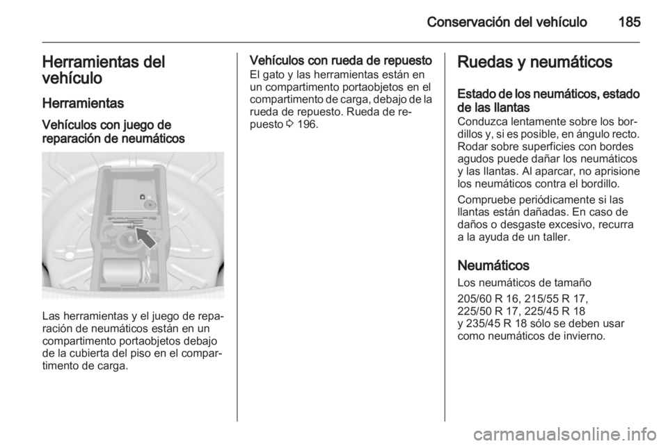 OPEL INSIGNIA 2010  Manual de Instrucciones (in Spanish) 