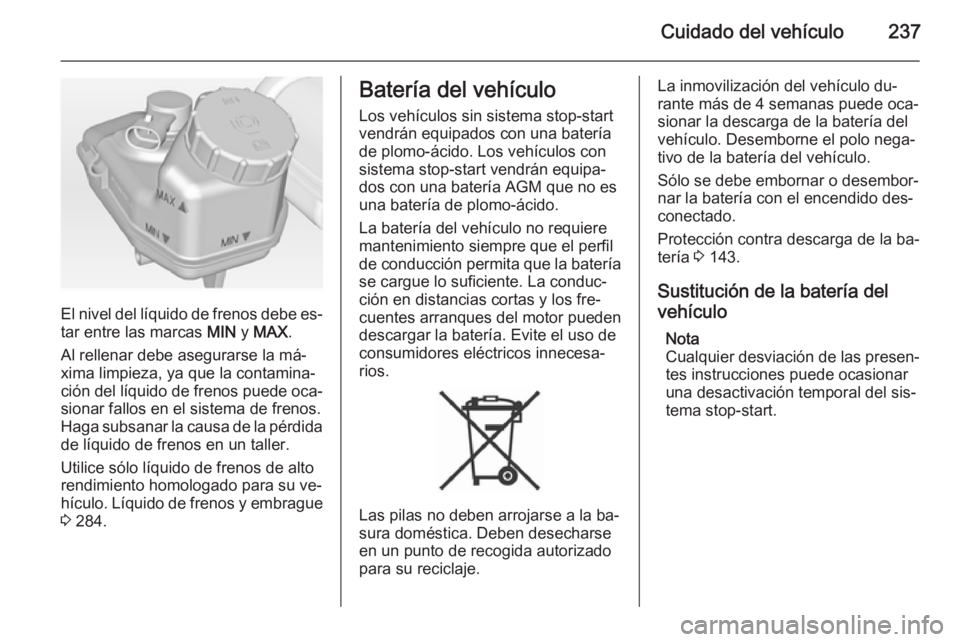 OPEL INSIGNIA 2014 Manual de Instrucciones (in Spanish) Cuidado del vehículo237
El nivel del líquido de frenos debe es‐
tar entre las marcas MIN y MAX .
Al rellenar debe asegurarse la má‐
xima limpieza, ya que la contamina‐
ción del líquido de OPEL INSIGNIA 2014 Manual de Instrucciones (in Spanish) Cuidado del vehículo237
El nivel del líquido de frenos debe es‐
tar entre las marcas MIN y MAX .
Al rellenar debe asegurarse la má‐
xima limpieza, ya que la contamina‐
ción del líquido de
