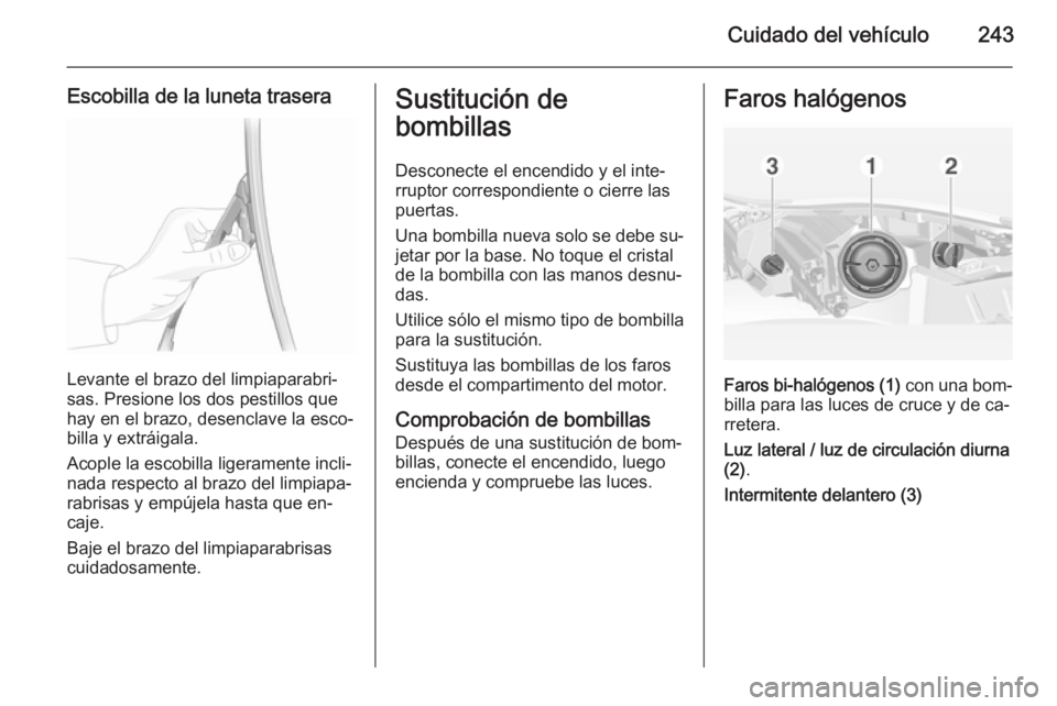 OPEL INSIGNIA 2014.5 Manual de Instrucciones (in Spanish) Cuidado del vehículo243
Escobilla de la luneta trasera
Levante el brazo del limpiaparabri‐
sas. Presione los dos pestillos que
hay en el brazo, desenclave la esco‐
billa y extráigala.
Acople la OPEL INSIGNIA 2014.5 Manual de Instrucciones (in Spanish) Cuidado del vehículo243
Escobilla de la luneta trasera
Levante el brazo del limpiaparabri‐
sas. Presione los dos pestillos que
hay en el brazo, desenclave la esco‐
billa y extráigala.
Acople la