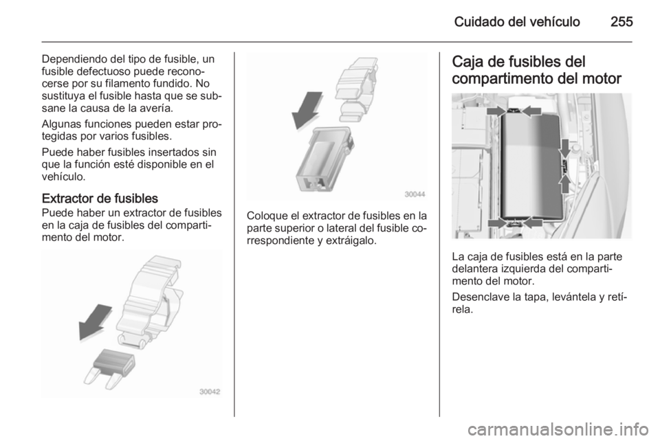 OPEL INSIGNIA 2014.5 Manual de Instrucciones (in Spanish) Cuidado del vehículo255
Dependiendo del tipo de fusible, un
fusible defectuoso puede recono‐
cerse por su filamento fundido. No sustituya el fusible hasta que se sub‐ sane la causa de la avería. OPEL INSIGNIA 2014.5 Manual de Instrucciones (in Spanish) Cuidado del vehículo255
Dependiendo del tipo de fusible, un
fusible defectuoso puede recono‐
cerse por su filamento fundido. No sustituya el fusible hasta que se sub‐ sane la causa de la avería.