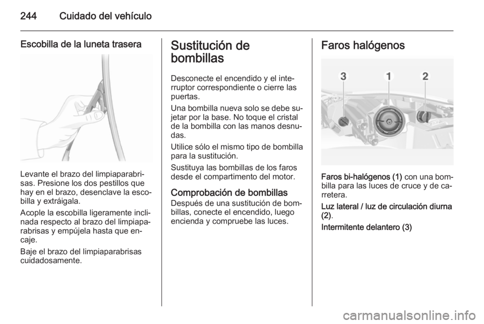 OPEL INSIGNIA 2015 Manual de Instrucciones (in Spanish) 244Cuidado del vehículo
Escobilla de la luneta trasera
Levante el brazo del limpiaparabri‐
sas. Presione los dos pestillos que
hay en el brazo, desenclave la esco‐
billa y extráigala.
Acople la OPEL INSIGNIA 2015 Manual de Instrucciones (in Spanish) 244Cuidado del vehículo
Escobilla de la luneta trasera
Levante el brazo del limpiaparabri‐
sas. Presione los dos pestillos que
hay en el brazo, desenclave la esco‐
billa y extráigala.
Acople la