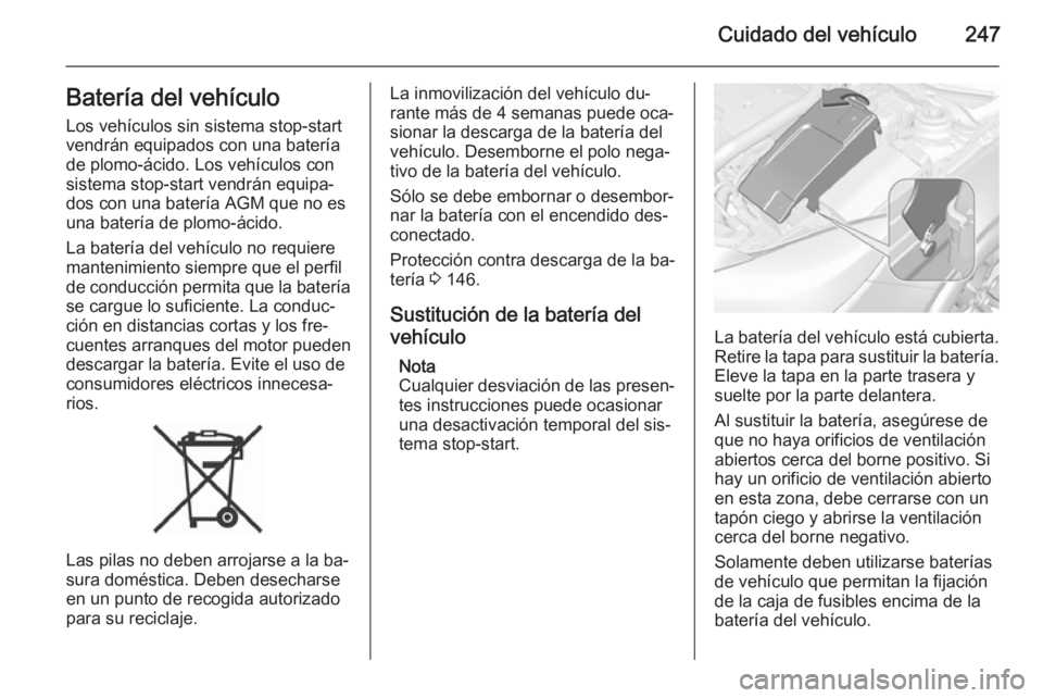 OPEL INSIGNIA 2015.5 Manual de Instrucciones (in Spanish) Cuidado del vehículo247Batería del vehículo
Los vehículos sin sistema stop-start
vendrán equipados con una batería
de plomo-ácido. Los vehículos con
sistema stop-start vendrán equipa‐
dos c OPEL INSIGNIA 2015.5 Manual de Instrucciones (in Spanish) Cuidado del vehículo247Batería del vehículo
Los vehículos sin sistema stop-start
vendrán equipados con una batería
de plomo-ácido. Los vehículos con
sistema stop-start vendrán equipa‐
dos c