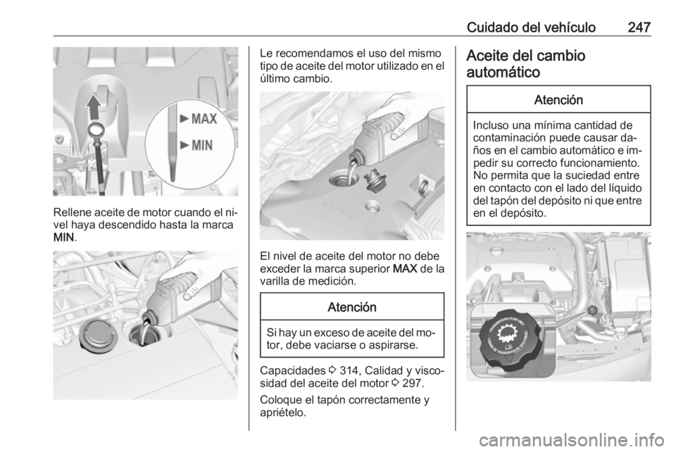 OPEL INSIGNIA 2016 Manual de Instrucciones (in Spanish) Cuidado del vehículo247
Rellene aceite de motor cuando el ni‐vel haya descendido hasta la marca
MIN .
Le recomendamos el uso del mismo
tipo de aceite del motor utilizado en el
último cambio.
El ni OPEL INSIGNIA 2016 Manual de Instrucciones (in Spanish) Cuidado del vehículo247
Rellene aceite de motor cuando el ni‐vel haya descendido hasta la marca
MIN .
Le recomendamos el uso del mismo
tipo de aceite del motor utilizado en el
último cambio.
El ni