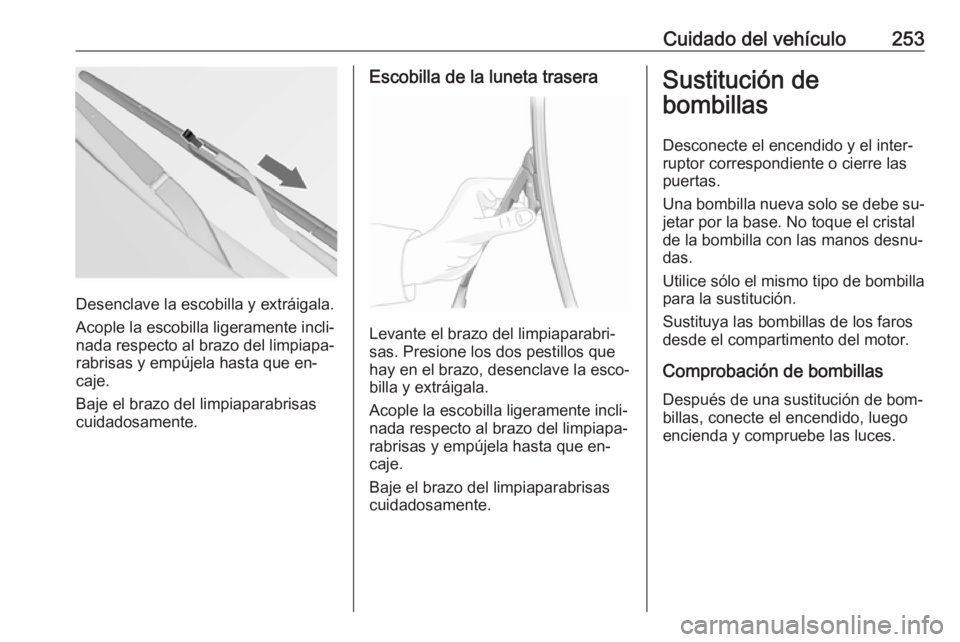 OPEL INSIGNIA 2016 Manual de Instrucciones (in Spanish) Cuidado del vehículo253
Desenclave la escobilla y extráigala.
Acople la escobilla ligeramente incli‐
nada respecto al brazo del limpiapa‐
rabrisas y empújela hasta que en‐
caje.
Baje el brazo OPEL INSIGNIA 2016 Manual de Instrucciones (in Spanish) Cuidado del vehículo253
Desenclave la escobilla y extráigala.
Acople la escobilla ligeramente incli‐
nada respecto al brazo del limpiapa‐
rabrisas y empújela hasta que en‐
caje.
Baje el brazo