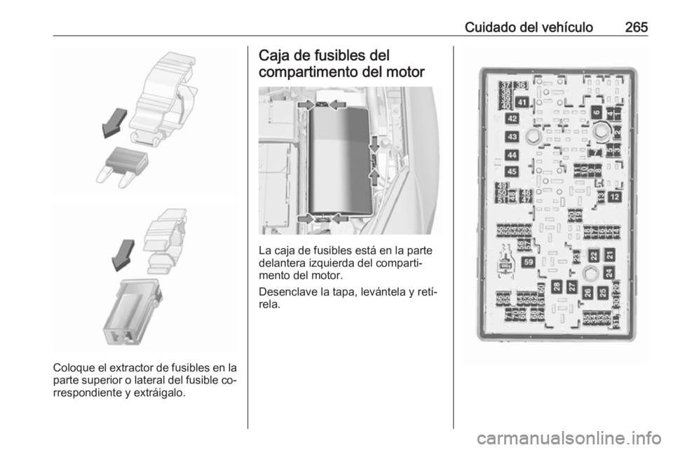OPEL INSIGNIA 2016 Manual de Instrucciones (in Spanish) Cuidado del vehículo265
Coloque el extractor de fusibles en la
parte superior o lateral del fusible co‐
rrespondiente y extráigalo.
Caja de fusibles del
compartimento del motor
La caja de fusibles OPEL INSIGNIA 2016 Manual de Instrucciones (in Spanish) Cuidado del vehículo265
Coloque el extractor de fusibles en la
parte superior o lateral del fusible co‐
rrespondiente y extráigalo.
Caja de fusibles del
compartimento del motor
La caja de fusibles