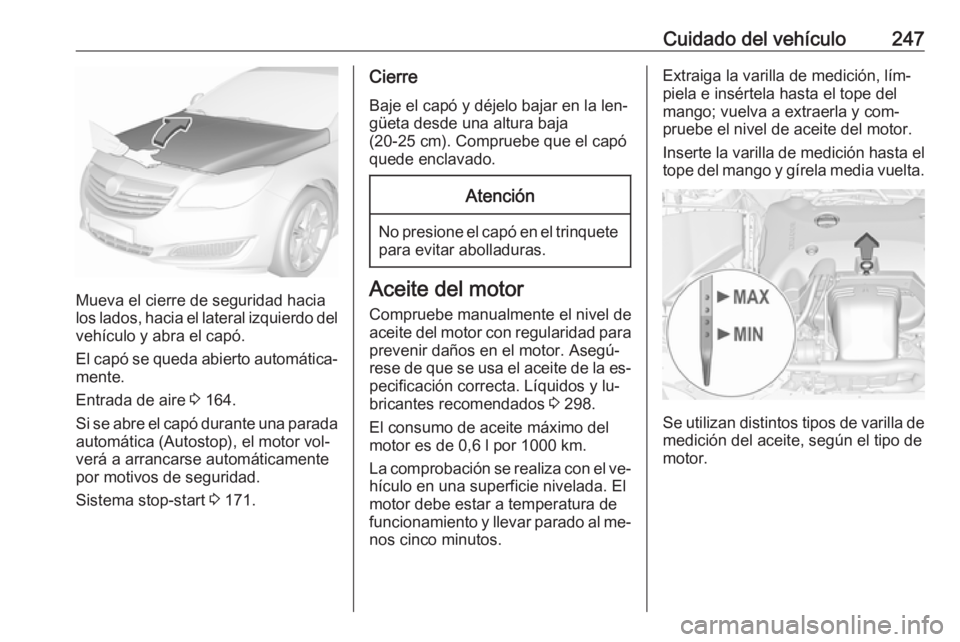 OPEL INSIGNIA 2016.5 Manual de Instrucciones (in Spanish) Cuidado del vehículo247
Mueva el cierre de seguridad hacia
los lados, hacia el lateral izquierdo del
vehículo y abra el capó.
El capó se queda abierto automática‐
mente.
Entrada de aire 3 164. OPEL INSIGNIA 2016.5 Manual de Instrucciones (in Spanish) Cuidado del vehículo247
Mueva el cierre de seguridad hacia
los lados, hacia el lateral izquierdo del
vehículo y abra el capó.
El capó se queda abierto automática‐
mente.
Entrada de aire 3 164.