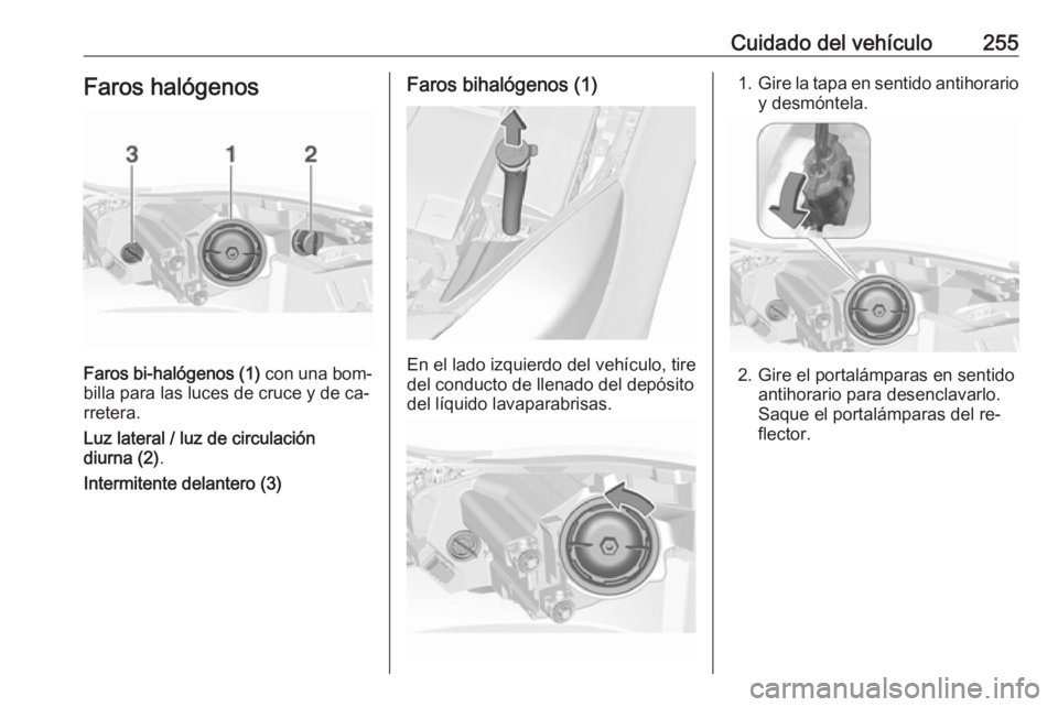 OPEL INSIGNIA 2016.5  Manual de Instrucciones (in Spanish) Cuidado del vehículo255Faros halógenos
Faros bi-halógenos (1) con una bom‐
billa para las luces de cruce y de ca‐
rretera.
Luz lateral / luz de circulación
diurna (2) .
Intermitente delantero 