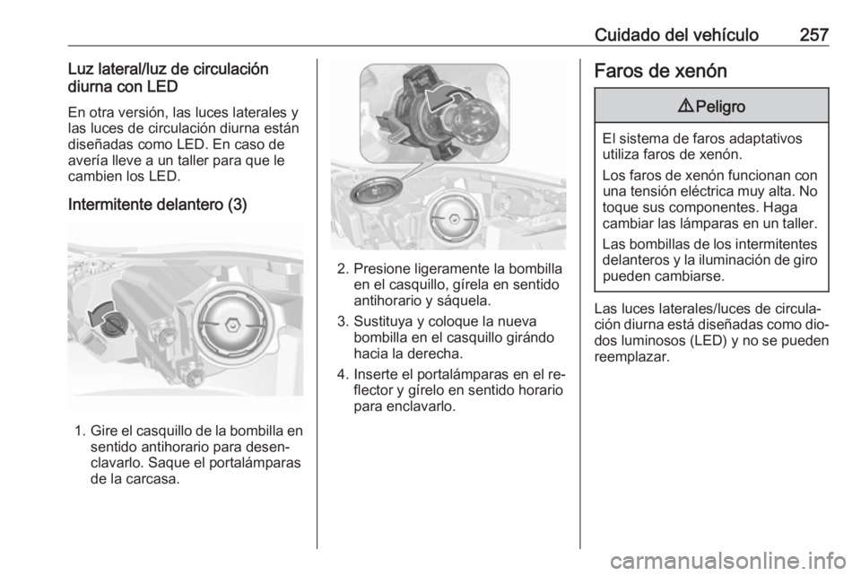 OPEL INSIGNIA 2016.5  Manual de Instrucciones (in Spanish) Cuidado del vehículo257Luz lateral/luz de circulación
diurna con LED
En otra versión, las luces laterales y
las luces de circulación diurna están
diseñadas como LED. En caso de
avería lleve a u