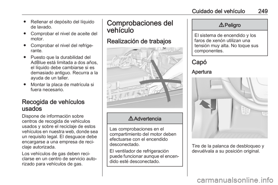 OPEL INSIGNIA 2017 Manual de Instrucciones (in Spanish) Cuidado del vehículo249● Rellenar el depósito del líquidode lavado.
● Comprobar el nivel de aceite del motor.
● Comprobar el nivel del refrige‐ rante.
● Puesto que la durabilidad del AdBl OPEL INSIGNIA 2017 Manual de Instrucciones (in Spanish) Cuidado del vehículo249● Rellenar el depósito del líquidode lavado.
● Comprobar el nivel de aceite del motor.
● Comprobar el nivel del refrige‐ rante.
● Puesto que la durabilidad del AdBl