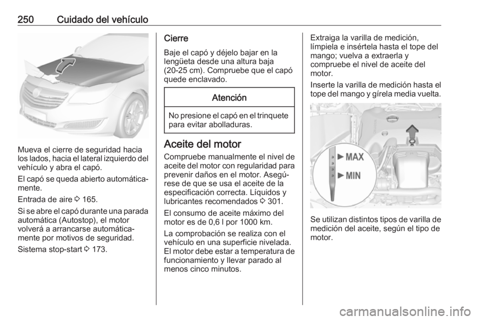 OPEL INSIGNIA 2017 Manual de Instrucciones (in Spanish) 250Cuidado del vehículo
Mueva el cierre de seguridad hacia
los lados, hacia el lateral izquierdo del
vehículo y abra el capó.
El capó se queda abierto automática‐
mente.
Entrada de aire 3 165. OPEL INSIGNIA 2017 Manual de Instrucciones (in Spanish) 250Cuidado del vehículo
Mueva el cierre de seguridad hacia
los lados, hacia el lateral izquierdo del
vehículo y abra el capó.
El capó se queda abierto automática‐
mente.
Entrada de aire 3 165.