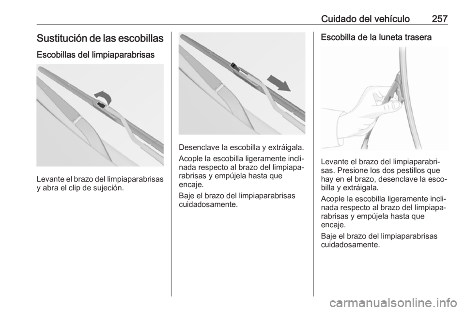 OPEL INSIGNIA 2017 Manual de Instrucciones (in Spanish) Cuidado del vehículo257Sustitución de las escobillas
Escobillas del limpiaparabrisas
Levante el brazo del limpiaparabrisas
y abra el clip de sujeción.
Desenclave la escobilla y extráigala.
Acople OPEL INSIGNIA 2017 Manual de Instrucciones (in Spanish) Cuidado del vehículo257Sustitución de las escobillas
Escobillas del limpiaparabrisas
Levante el brazo del limpiaparabrisas
y abra el clip de sujeción.
Desenclave la escobilla y extráigala.
Acople
