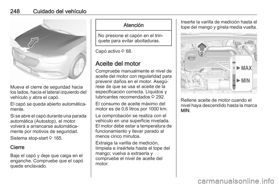 OPEL INSIGNIA BREAK 2017.5 Manual de Instrucciones (in Spanish) 248Cuidado del vehículo
Mueva el cierre de seguridad hacia
los lados, hacia el lateral izquierdo del
vehículo y abra el capó.
El capó se queda abierto automática‐
mente.
Si se abre el capó dur OPEL INSIGNIA BREAK 2017.5 Manual de Instrucciones (in Spanish) 248Cuidado del vehículo
Mueva el cierre de seguridad hacia
los lados, hacia el lateral izquierdo del
vehículo y abra el capó.
El capó se queda abierto automática‐
mente.
Si se abre el capó dur