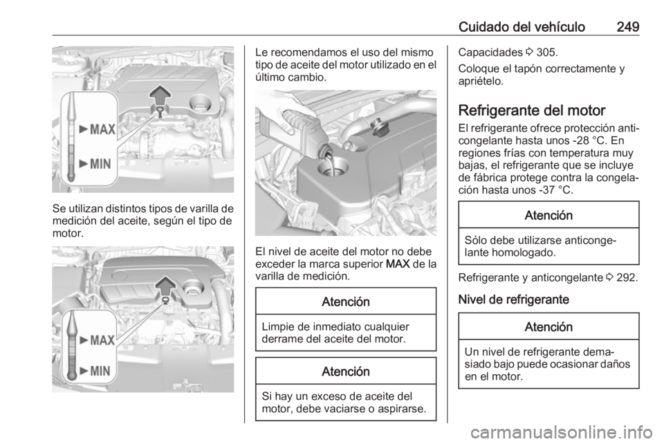 OPEL INSIGNIA BREAK 2017.5 Manual de Instrucciones (in Spanish) Cuidado del vehículo249
Se utilizan distintos tipos de varilla de
medición del aceite, según el tipo de
motor.
Le recomendamos el uso del mismo
tipo de aceite del motor utilizado en el
último camb OPEL INSIGNIA BREAK 2017.5 Manual de Instrucciones (in Spanish) Cuidado del vehículo249
Se utilizan distintos tipos de varilla de
medición del aceite, según el tipo de
motor.
Le recomendamos el uso del mismo
tipo de aceite del motor utilizado en el
último camb