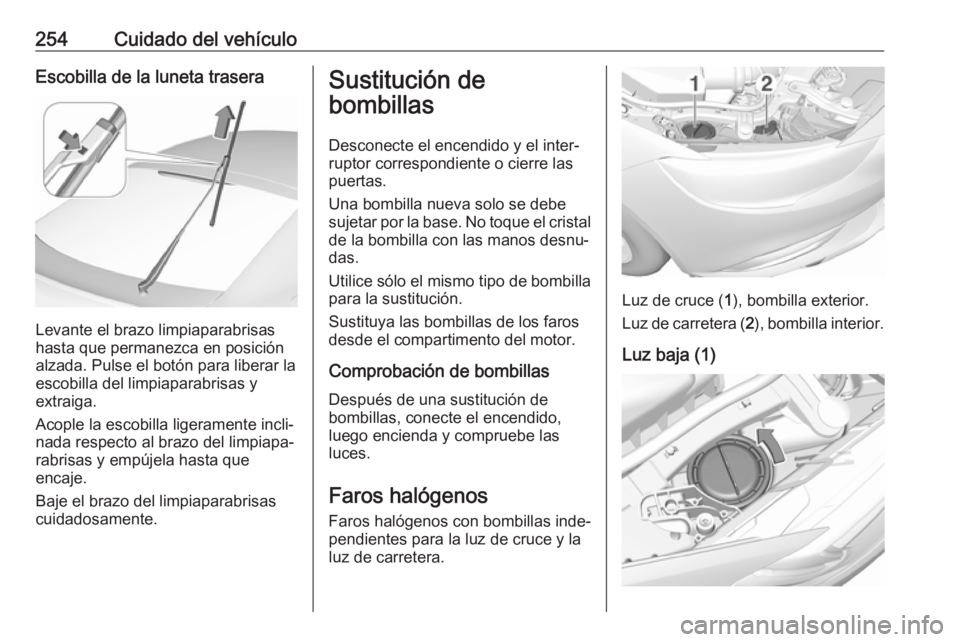OPEL INSIGNIA BREAK 2017.5 Manual de Instrucciones (in Spanish) 254Cuidado del vehículoEscobilla de la luneta trasera
Levante el brazo limpiaparabrisas
hasta que permanezca en posición alzada. Pulse el botón para liberar laescobilla del limpiaparabrisas y
extra OPEL INSIGNIA BREAK 2017.5 Manual de Instrucciones (in Spanish) 254Cuidado del vehículoEscobilla de la luneta trasera
Levante el brazo limpiaparabrisas
hasta que permanezca en posición alzada. Pulse el botón para liberar laescobilla del limpiaparabrisas y
extra