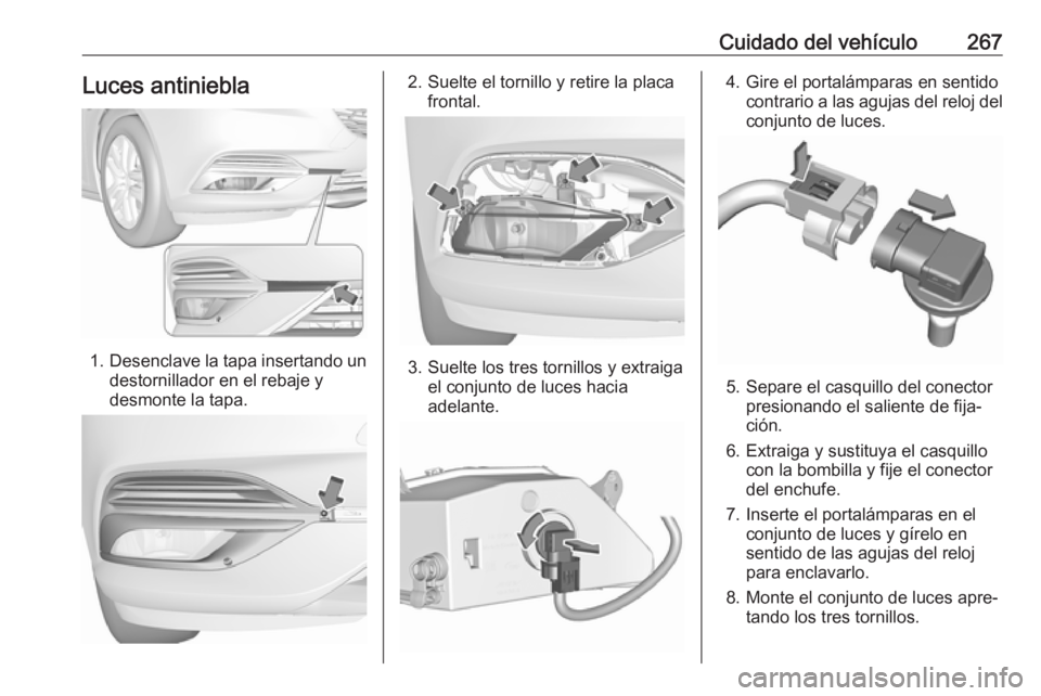 OPEL INSIGNIA BREAK 2017.75  Manual de Instrucciones (in Spanish) Cuidado del vehículo267Luces antiniebla
1.Desenclave la tapa insertando un
destornillador en el rebaje y
desmonte la tapa.
2. Suelte el tornillo y retire la placa frontal.
3. Suelte los tres tornillo