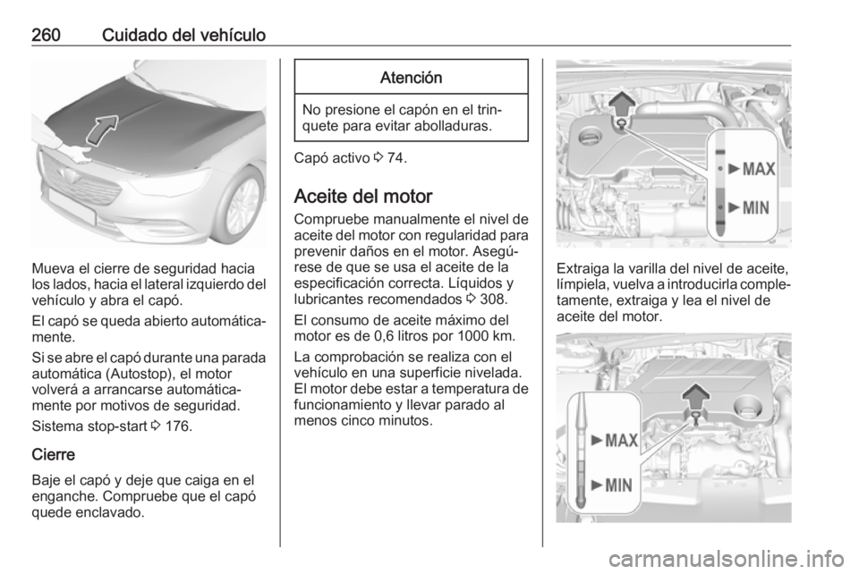 OPEL INSIGNIA BREAK 2018 Manual de Instrucciones (in Spanish) 260Cuidado del vehículo
Mueva el cierre de seguridad hacia
los lados, hacia el lateral izquierdo del
vehículo y abra el capó.
El capó se queda abierto automática‐
mente.
Si se abre el capó dur OPEL INSIGNIA BREAK 2018 Manual de Instrucciones (in Spanish) 260Cuidado del vehículo
Mueva el cierre de seguridad hacia
los lados, hacia el lateral izquierdo del
vehículo y abra el capó.
El capó se queda abierto automática‐
mente.
Si se abre el capó dur