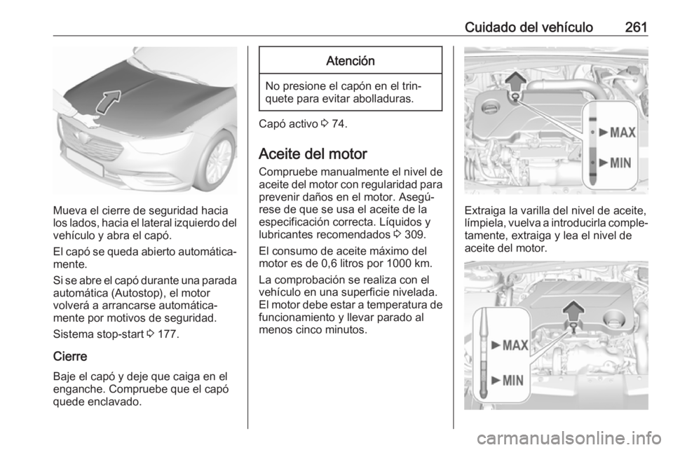 OPEL INSIGNIA BREAK 2018.5 Manual de Instrucciones (in Spanish) Cuidado del vehículo261
Mueva el cierre de seguridad hacia
los lados, hacia el lateral izquierdo del
vehículo y abra el capó.
El capó se queda abierto automática‐
mente.
Si se abre el capó dur OPEL INSIGNIA BREAK 2018.5 Manual de Instrucciones (in Spanish) Cuidado del vehículo261
Mueva el cierre de seguridad hacia
los lados, hacia el lateral izquierdo del
vehículo y abra el capó.
El capó se queda abierto automática‐
mente.
Si se abre el capó dur