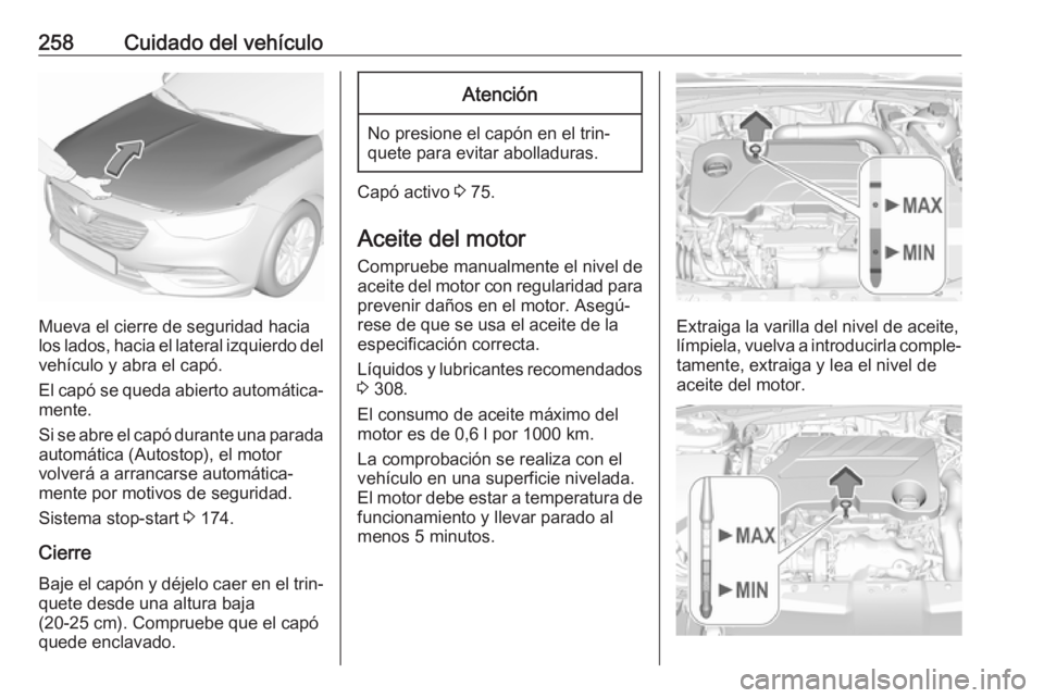 OPEL INSIGNIA BREAK 2019.5 Manual de Instrucciones (in Spanish) 258Cuidado del vehículo
Mueva el cierre de seguridad hacia
los lados, hacia el lateral izquierdo del
vehículo y abra el capó.
El capó se queda abierto automática‐
mente.
Si se abre el capó dur OPEL INSIGNIA BREAK 2019.5 Manual de Instrucciones (in Spanish) 258Cuidado del vehículo
Mueva el cierre de seguridad hacia
los lados, hacia el lateral izquierdo del
vehículo y abra el capó.
El capó se queda abierto automática‐
mente.
Si se abre el capó dur