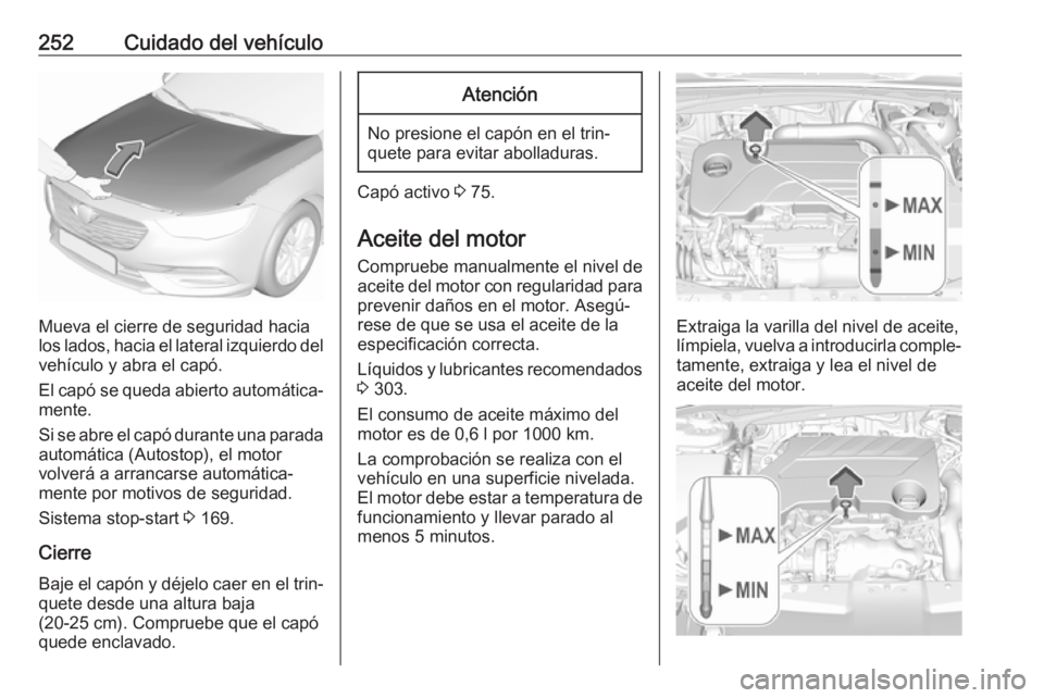 OPEL INSIGNIA BREAK 2020 Manual de Instrucciones (in Spanish) 252Cuidado del vehículo
Mueva el cierre de seguridad hacia
los lados, hacia el lateral izquierdo del
vehículo y abra el capó.
El capó se queda abierto automática‐
mente.
Si se abre el capó dur OPEL INSIGNIA BREAK 2020 Manual de Instrucciones (in Spanish) 252Cuidado del vehículo
Mueva el cierre de seguridad hacia
los lados, hacia el lateral izquierdo del
vehículo y abra el capó.
El capó se queda abierto automática‐
mente.
Si se abre el capó dur