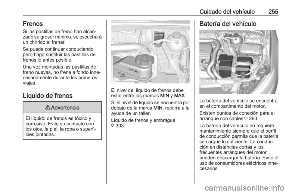 OPEL INSIGNIA BREAK 2020 Manual de Instrucciones (in Spanish) Cuidado del vehículo255FrenosSi las pastillas de freno han alcan‐zado su grosor mínimo, se escuchará
un chirrido al frenar.
Se puede continuar conduciendo,
pero haga sustituir las pastillas de
fr OPEL INSIGNIA BREAK 2020 Manual de Instrucciones (in Spanish) Cuidado del vehículo255FrenosSi las pastillas de freno han alcan‐zado su grosor mínimo, se escuchará
un chirrido al frenar.
Se puede continuar conduciendo,
pero haga sustituir las pastillas de
fr