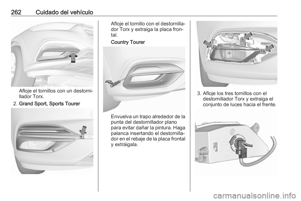 OPEL INSIGNIA BREAK 2020  Manual de Instrucciones (in Spanish) 262Cuidado del vehículo
Afloje el tornillos con un destorni‐
llador Torx.
2. Grand Sport, Sports Tourer
Afloje el tornillo con el destornilla‐
dor Torx y extraiga la placa fron‐
tal.
Country To