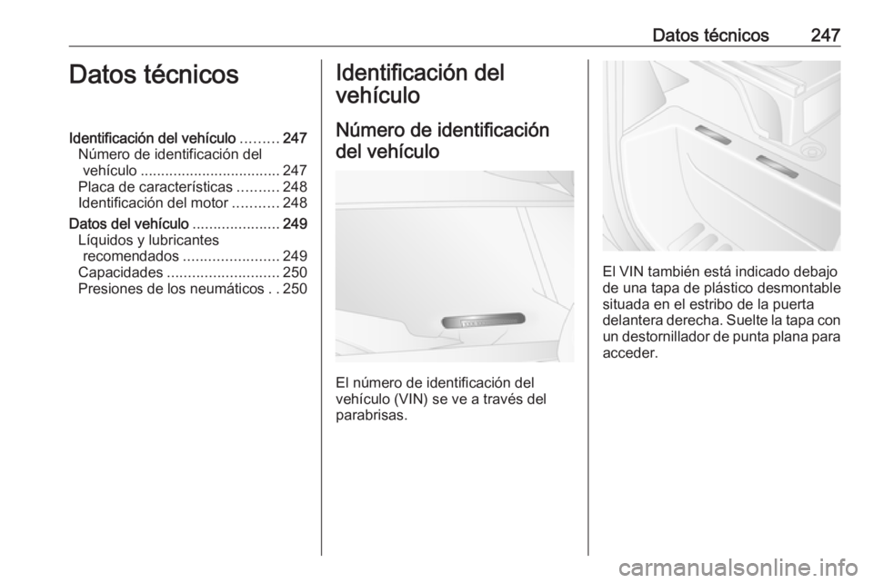 OPEL MOVANO_B 2019  Manual de Instrucciones (in Spanish) Datos técnicos247Datos técnicosIdentificación del vehículo.........247
Número de identificación del vehículo .................................. 247
Placa de características ..........248
Ident