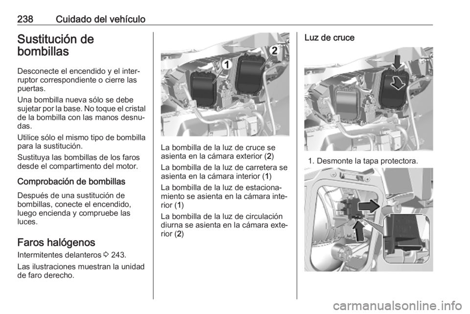 OPEL VIVARO C 2020  Manual de Instrucciones (in Spanish) 238Cuidado del vehículoSustitución de
bombillas
Desconecte el encendido y el inter‐
ruptor correspondiente o cierre las
puertas.
Una bombilla nueva sólo se debe
sujetar por la base. No toque el c