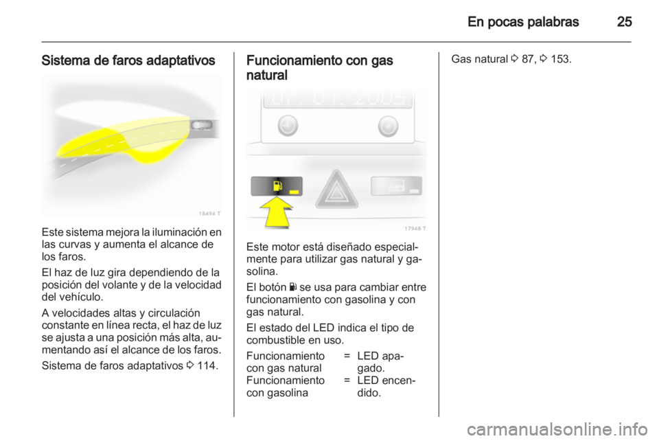 OPEL ZAFIRA 2010  Manual de Instrucciones (in Spanish) 