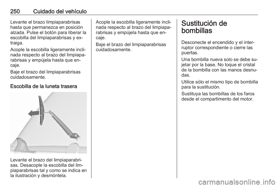 OPEL ZAFIRA C 2016  Manual de Instrucciones (in Spanish) 250Cuidado del vehículoLevante el brazo limpiaparabrisas
hasta que permanezca en posición
alzada. Pulse el botón para liberar la escobilla del limpiaparabrisas y ex‐
traiga.
Acople la escobilla l
