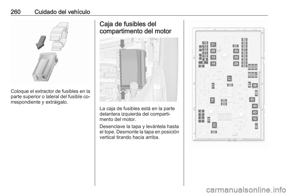 OPEL ZAFIRA C 2016  Manual de Instrucciones (in Spanish) 260Cuidado del vehículo
Coloque el extractor de fusibles en la
parte superior o lateral del fusible co‐
rrespondiente y extráigalo.
Caja de fusibles del
compartimento del motor
La caja de fusibles