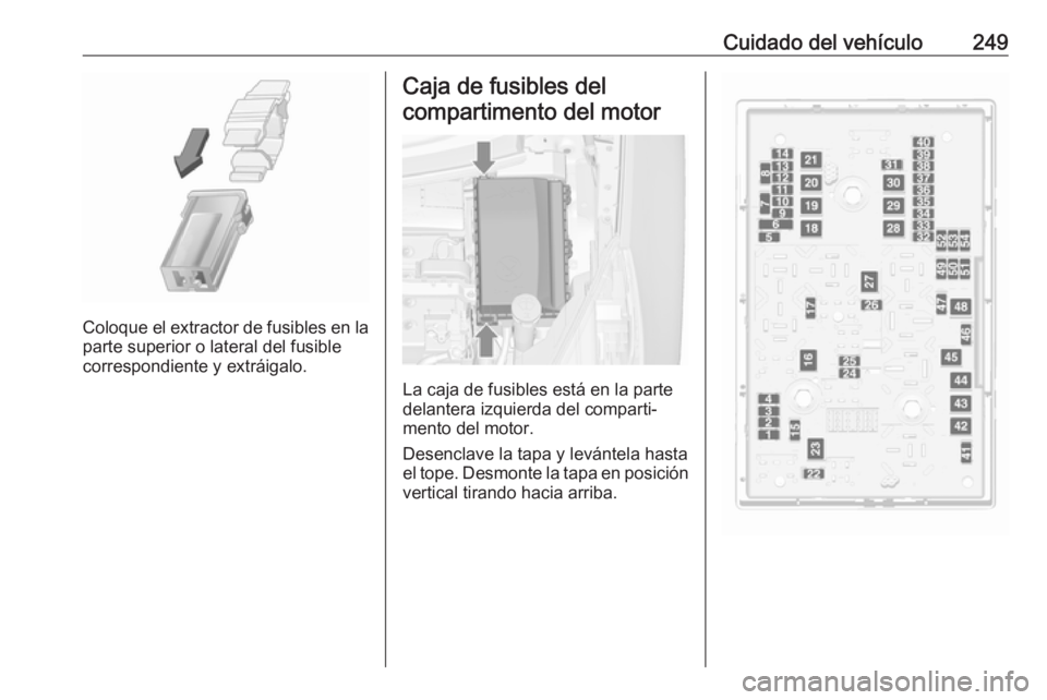 OPEL ZAFIRA C 2017 Manual de Instrucciones (in Spanish) Cuidado del vehículo249
Coloque el extractor de fusibles en la
parte superior o lateral del fusible
correspondiente y extráigalo.
Caja de fusibles del
compartimento del motor
La caja de fusibles est OPEL ZAFIRA C 2017 Manual de Instrucciones (in Spanish) Cuidado del vehículo249
Coloque el extractor de fusibles en la
parte superior o lateral del fusible
correspondiente y extráigalo.
Caja de fusibles del
compartimento del motor
La caja de fusibles est