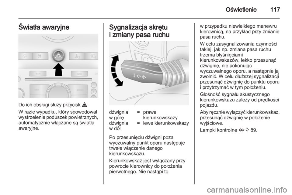 OPEL ANTARA 2011  Instrukcja obsługi (in Polish) 