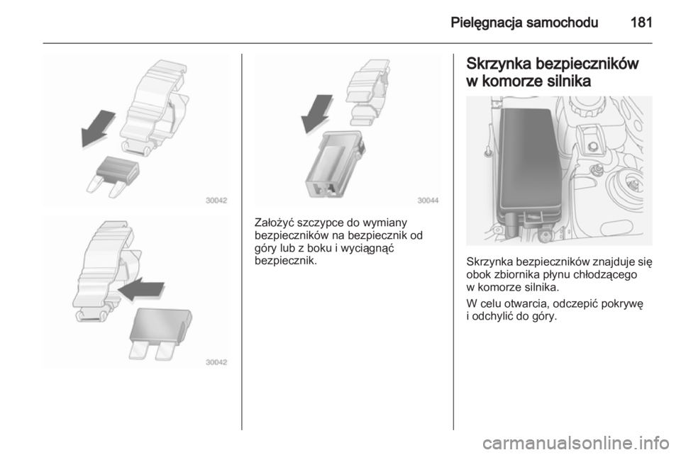 OPEL ANTARA 2011  Instrukcja obsługi (in Polish) 