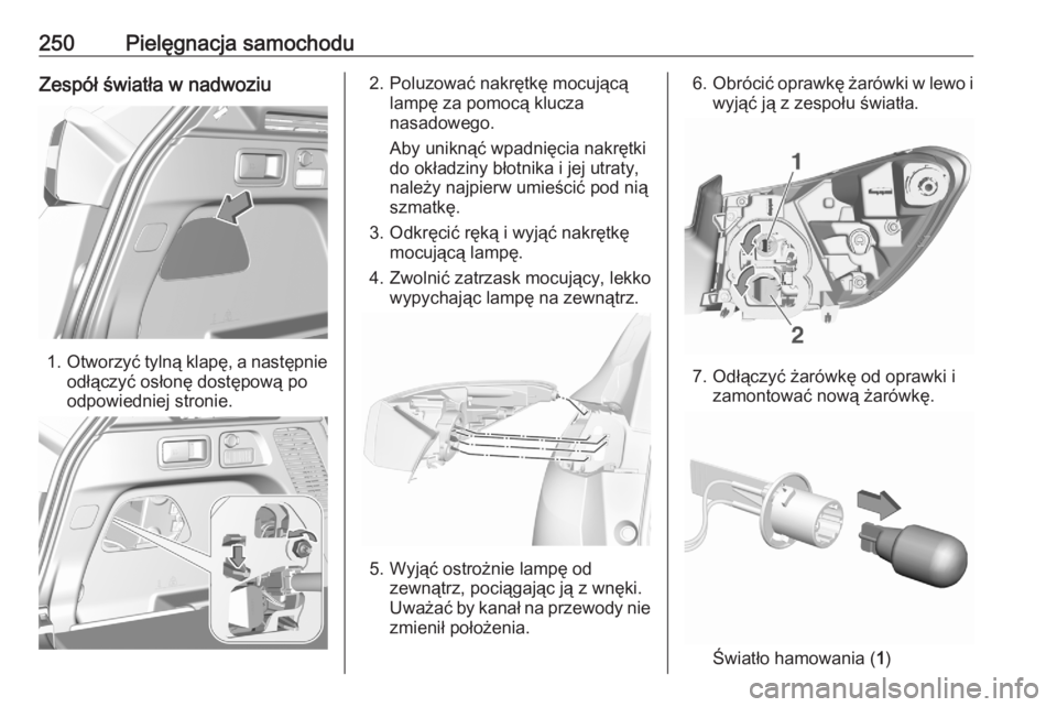 OPEL GRANDLAND X 2020 Instrukcja obsługi (in Polish) 250Pielęgnacja samochoduZespół światła w nadwoziu
1.Otworzyć tylną klapę, a następnie
odłączyć osłonę dostępową po
odpowiedniej stronie.
2. Poluzować nakrętkę mocującą lampę za p OPEL GRANDLAND X 2020 Instrukcja obsługi (in Polish) 250Pielęgnacja samochoduZespół światła w nadwoziu
1.Otworzyć tylną klapę, a następnie
odłączyć osłonę dostępową po
odpowiedniej stronie.
2. Poluzować nakrętkę mocującą lampę za p
