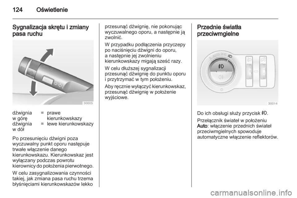 OPEL INSIGNIA 2010  Instrukcja obsługi (in Polish) 