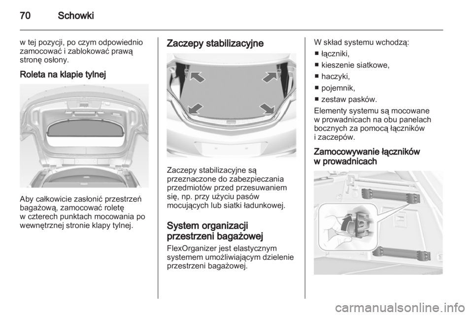 OPEL INSIGNIA 2010  Instrukcja obsługi (in Polish) 