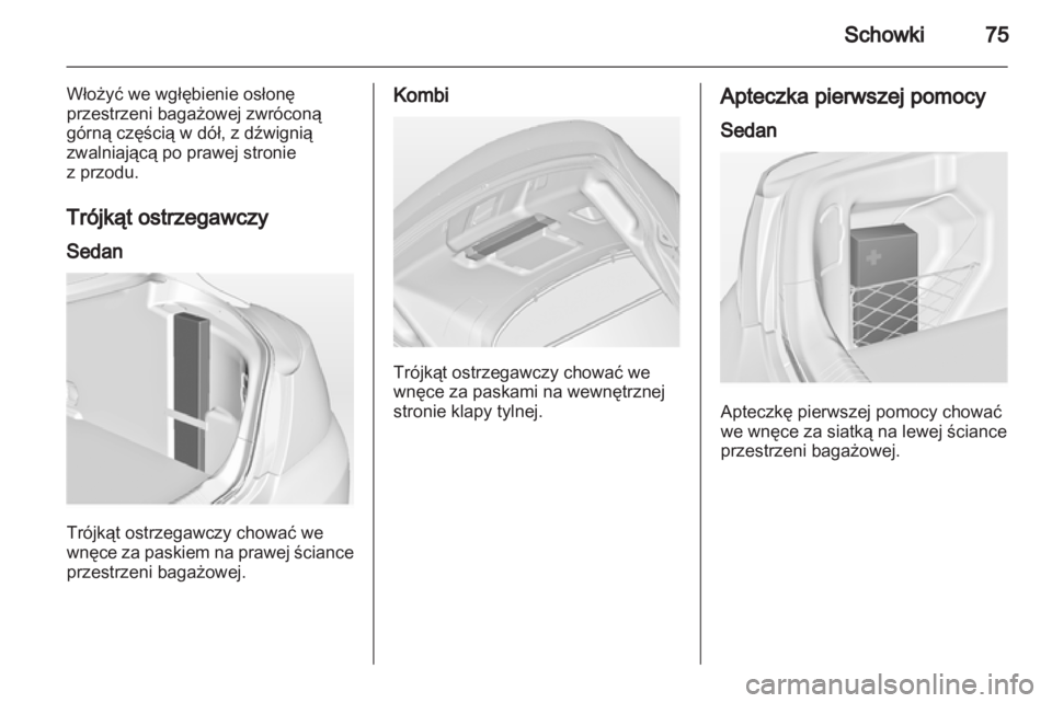 OPEL INSIGNIA 2010  Instrukcja obsługi (in Polish) 