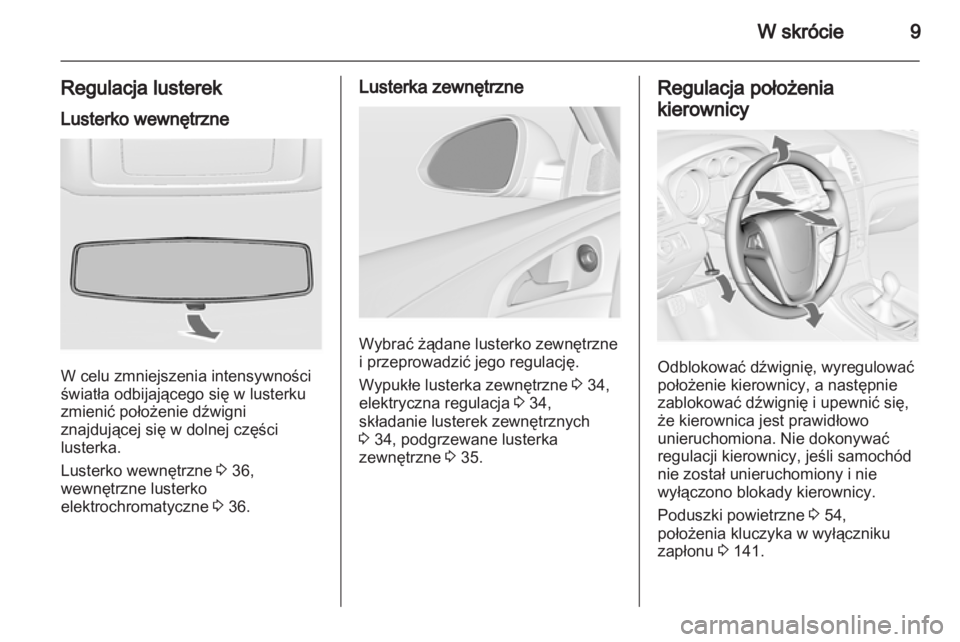 OPEL INSIGNIA 2010  Instrukcja obsługi (in Polish) 