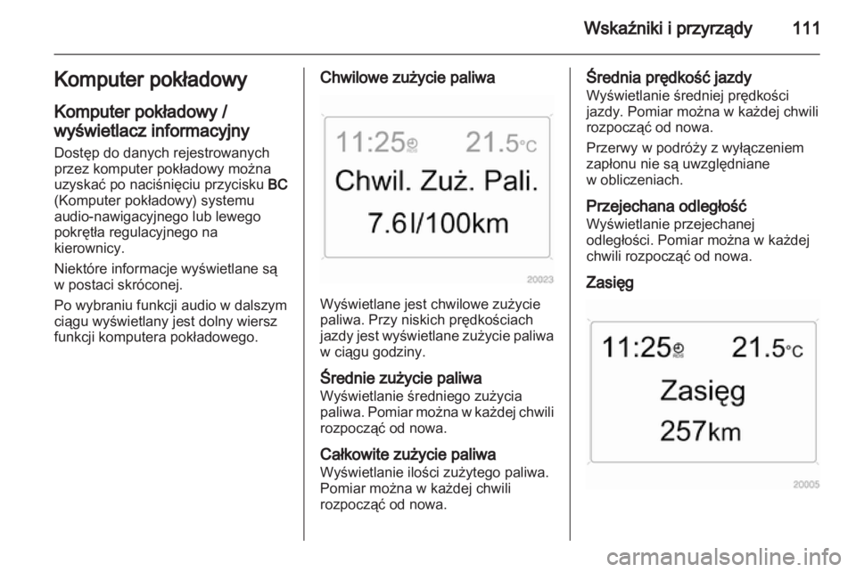 OPEL ZAFIRA 2010  Instrukcja obsługi (in Polish) 