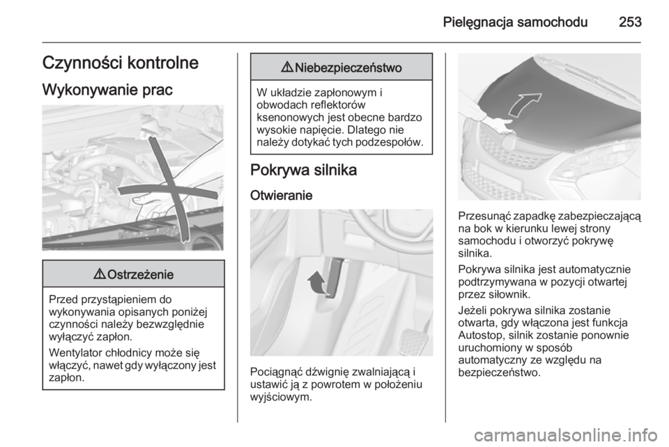 OPEL ZAFIRA C 2014  Instrukcja obsługi (in Polish) Pielęgnacja samochodu253Czynności kontrolne
Wykonywanie prac9 Ostrzeżenie
Przed przystąpieniem do
wykonywania opisanych poniżej
czynności należy bezwzględnie
wyłączyć zapłon.
Wentylator ch