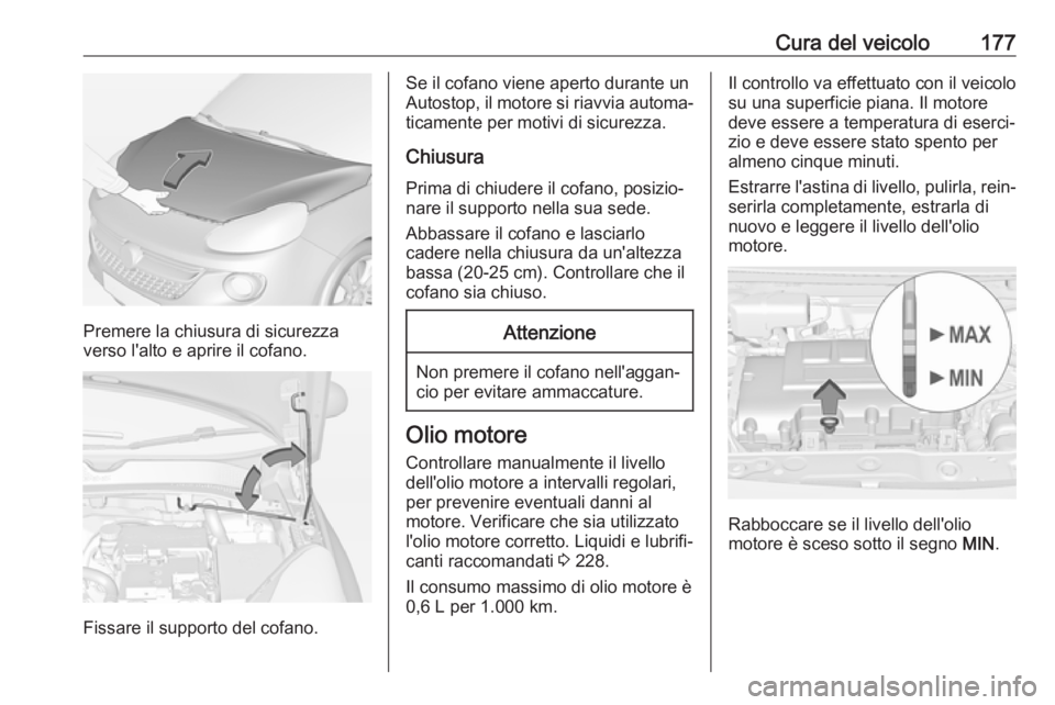 OPEL ADAM 2018  Manuale di uso e manutenzione (in Italian) Cura del veicolo177
Premere la chiusura di sicurezza
verso l'alto e aprire il cofano.
Fissare il supporto del cofano.
Se il cofano viene aperto durante un
Autostop, il motore si riavvia automa‐
