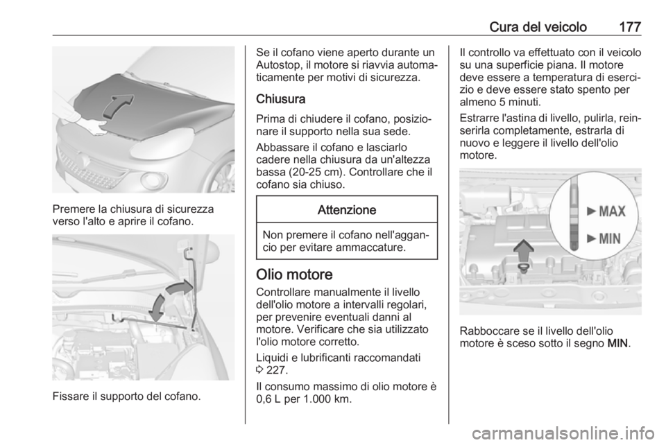 OPEL ADAM 2018.5 Manuale di uso e manutenzione (in Italian) Cura del veicolo177
Premere la chiusura di sicurezza
verso l'alto e aprire il cofano.
Fissare il supporto del cofano.
Se il cofano viene aperto durante un
Autostop, il motore si riavvia automa‐
OPEL ADAM 2018.5 Manuale di uso e manutenzione (in Italian) Cura del veicolo177
Premere la chiusura di sicurezza
verso l'alto e aprire il cofano.
Fissare il supporto del cofano.
Se il cofano viene aperto durante un
Autostop, il motore si riavvia automa‐