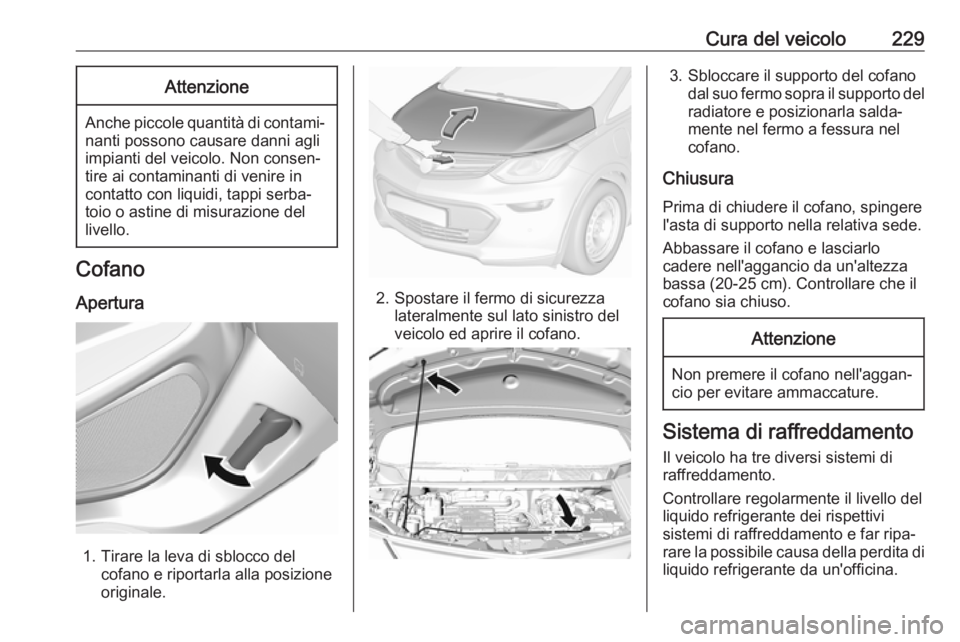 OPEL AMPERA E 2018  Manuale di uso e manutenzione (in Italian) Cura del veicolo229Attenzione
Anche piccole quantità di contami‐nanti possono causare danni agli
impianti del veicolo. Non consen‐
tire ai contaminanti di venire in
contatto con liquidi, tappi se