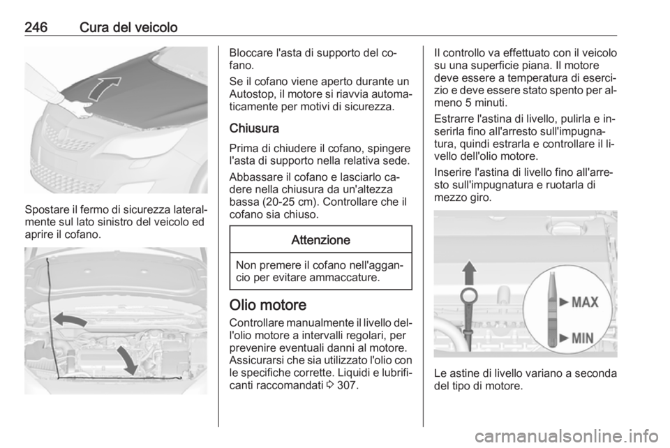 OPEL ASTRA J 2016 Manuale di uso e manutenzione (in Italian) 246Cura del veicolo
Spostare il fermo di sicurezza lateral‐mente sul lato sinistro del veicolo ed
aprire il cofano.
Bloccare l'asta di supporto del co‐
fano.
Se il cofano viene aperto durante OPEL ASTRA J 2016 Manuale di uso e manutenzione (in Italian) 246Cura del veicolo
Spostare il fermo di sicurezza lateral‐mente sul lato sinistro del veicolo ed
aprire il cofano.
Bloccare l'asta di supporto del co‐
fano.
Se il cofano viene aperto durante