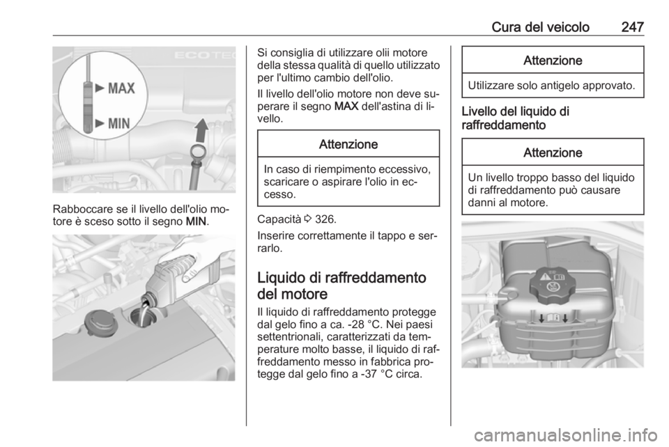 OPEL ASTRA J 2016 Manuale di uso e manutenzione (in Italian) Cura del veicolo247
Rabboccare se il livello dell'olio mo‐
tore è sceso sotto il segno MIN.
Si consiglia di utilizzare olii motore
della stessa qualità di quello utilizzato per l'ultimo c OPEL ASTRA J 2016 Manuale di uso e manutenzione (in Italian) Cura del veicolo247
Rabboccare se il livello dell'olio mo‐
tore è sceso sotto il segno MIN.
Si consiglia di utilizzare olii motore
della stessa qualità di quello utilizzato per l'ultimo c