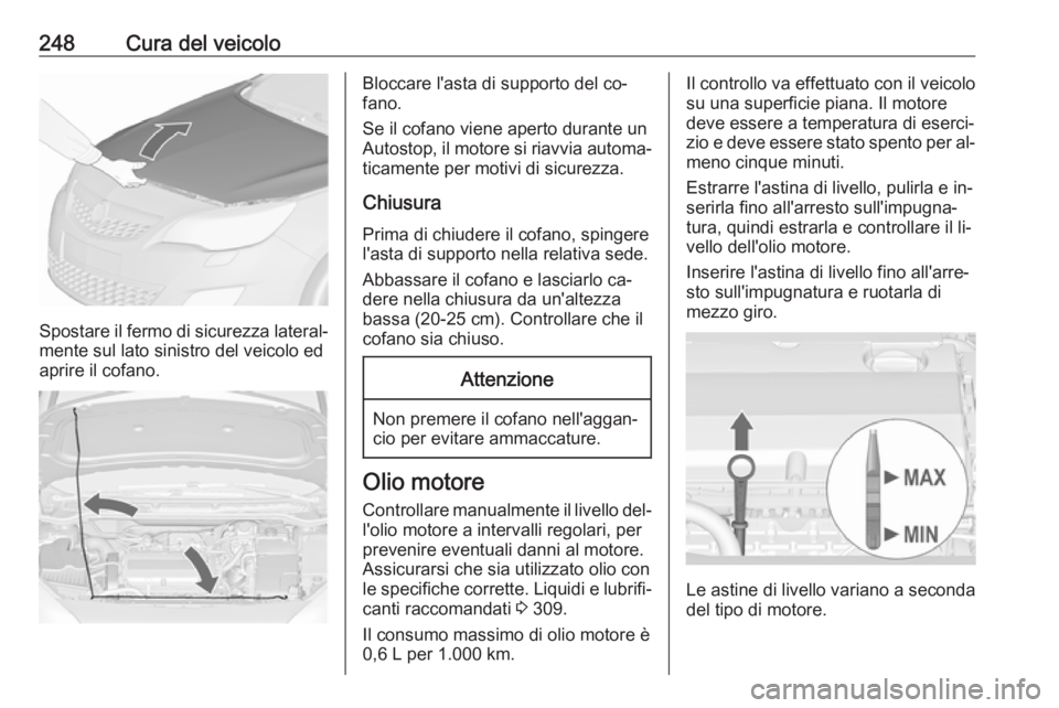 OPEL ASTRA J 2016.5 Manuale di uso e manutenzione (in Italian) 248Cura del veicolo
Spostare il fermo di sicurezza lateral‐mente sul lato sinistro del veicolo ed
aprire il cofano.
Bloccare l'asta di supporto del co‐
fano.
Se il cofano viene aperto durante OPEL ASTRA J 2016.5 Manuale di uso e manutenzione (in Italian) 248Cura del veicolo
Spostare il fermo di sicurezza lateral‐mente sul lato sinistro del veicolo ed
aprire il cofano.
Bloccare l'asta di supporto del co‐
fano.
Se il cofano viene aperto durante