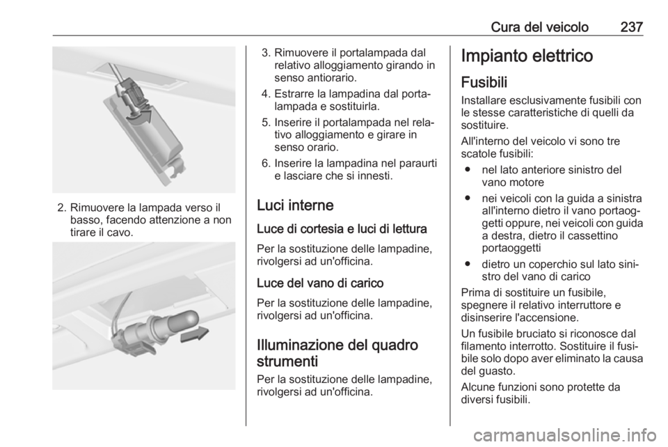 OPEL ASTRA J 2018  Manuale di uso e manutenzione (in Italian) Cura del veicolo237
2. Rimuovere la lampada verso ilbasso, facendo attenzione a non
tirare il cavo.
3. Rimuovere il portalampada dal relativo alloggiamento girando in
senso antiorario.
4. Estrarre la 