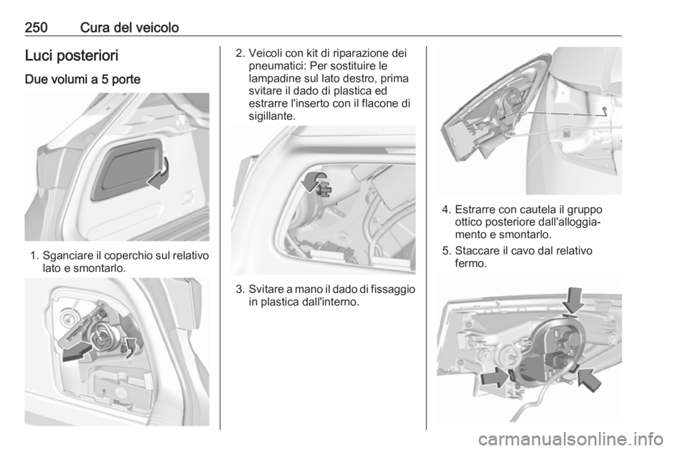 OPEL ASTRA K 2017  Manuale di uso e manutenzione (in Italian) 250Cura del veicoloLuci posterioriDue volumi a 5 porte
1. Sganciare il coperchio sul relativo
lato e smontarlo.
2. Veicoli con kit di riparazione dei pneumatici: Per sostituire le
lampadine sul lato d