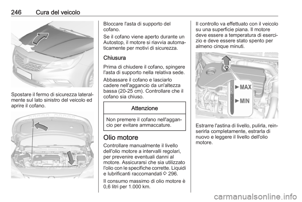 OPEL ASTRA K 2018 Manuale di uso e manutenzione (in Italian) 246Cura del veicolo
Spostare il fermo di sicurezza lateral‐mente sul lato sinistro del veicolo ed
aprire il cofano.
Bloccare l'asta di supporto del
cofano.
Se il cofano viene aperto durante un A OPEL ASTRA K 2018 Manuale di uso e manutenzione (in Italian) 246Cura del veicolo
Spostare il fermo di sicurezza lateral‐mente sul lato sinistro del veicolo ed
aprire il cofano.
Bloccare l'asta di supporto del
cofano.
Se il cofano viene aperto durante un A