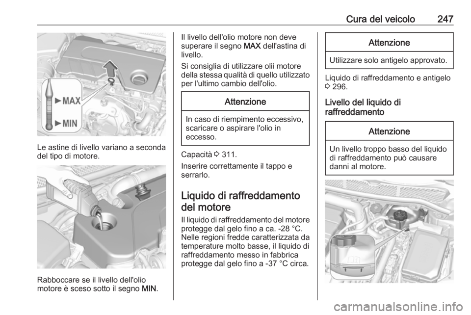 OPEL ASTRA K 2018 Manuale di uso e manutenzione (in Italian) Cura del veicolo247
Le astine di livello variano a seconda
del tipo di motore.
Rabboccare se il livello dell'olio
motore è sceso sotto il segno MIN.
Il livello dell'olio motore non deve
supe OPEL ASTRA K 2018 Manuale di uso e manutenzione (in Italian) Cura del veicolo247
Le astine di livello variano a seconda
del tipo di motore.
Rabboccare se il livello dell'olio
motore è sceso sotto il segno MIN.
Il livello dell'olio motore non deve
supe